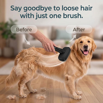 Self Cleaning Slicker Brush for Dog and Cat Shedding, Black